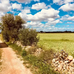 Arthouse Mit Haus Galeria 110qm Und Appartementhaus Mit Patio 30qm Ferienhaus Campos (Mallorca)